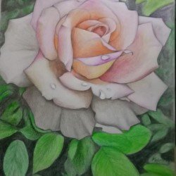 كورس ألوان الباستيل كورس ألوان الباستيل