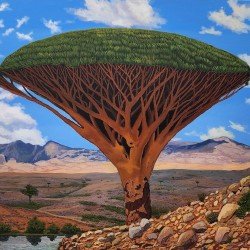 لوحة مطبوعة لشجرة دم الاخوين مقاس cm 100×120 للفنان ردفان المحمدي