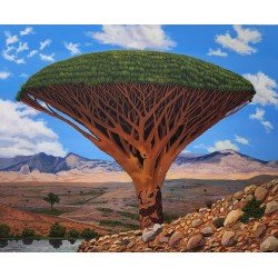 لوحة مطبوعة لشجرة دم الاخوين مقاس cm 100×120 للفنان ردفان المحمدي