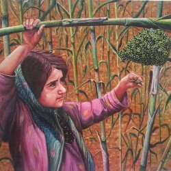 لوحة فنية زيتية على القماش لفتاة الذرة مقاس 60x50 للفنان التشكيلي اليمني وسام العنسي لوحة فنية زيتية على القماش لفتاة الذرة مقاس 60x50 للفنان التشكيلي اليمني وسام العنسي